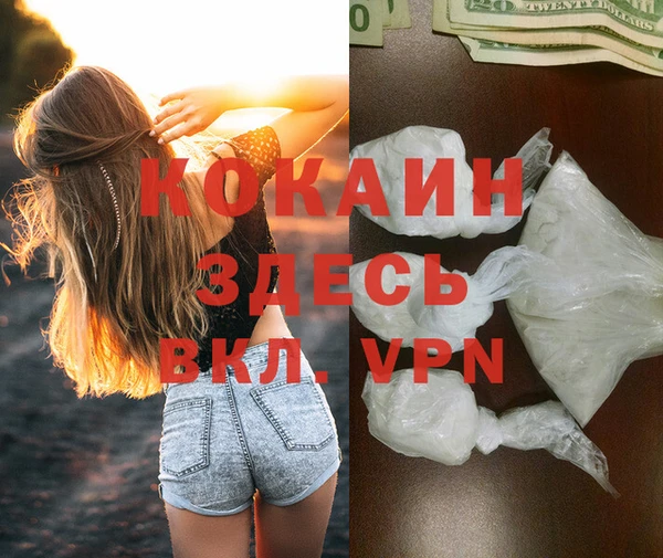 дмт Кукмор