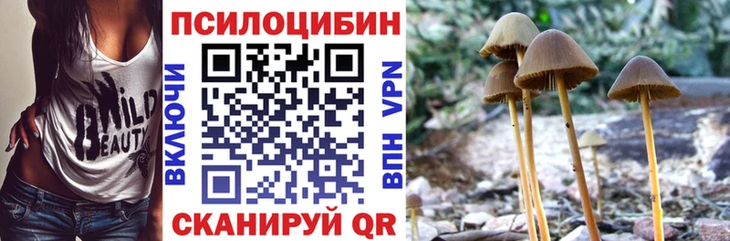 Галлюциногенные грибы мухоморы  купить  сайты  Сочи 